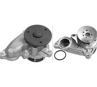 INA 538 0671 10 Pompa acqua