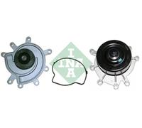 Pompa del refrigerante INA 538 0691 10