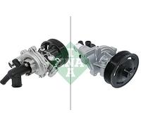 Pompa acqua 538 0981 10 INA per FORD LAND ROVER