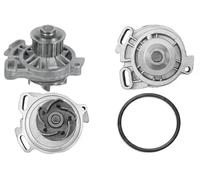 DOLZ A176 Pompa acqua per VW Transporter IV Kastenwagen (70A, 70H, 7DA, 7DH)