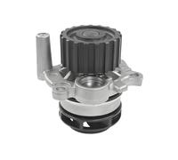RIDEX Pompa Acqua VW,AUDI,SKODA 1260W0035 038121011,038121011A,038121011AV 038121011AX,38121011,38121011A,38121011AV,38121011AX,038121011,038121011A