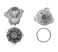 Pompa acqua A202 DOLZ per VW AUDI SEAT SKODA PORSCHE FORD