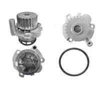 DOLZ A212 Pompa acqua