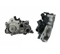 DOLZ A239 Pompa dell’acqua, raffreddamento motore per AUDI,CUPRA,SEAT,SKODA,VW