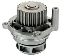 Pompa acqua A310054P DENCKERMANN per AUDI SKODA VW SEAT RENAULT PROTON
