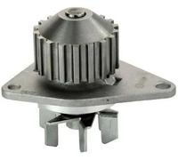 Pompa acqua A310129P DENCKERMANN per PEUGEOT CITROËN FORD