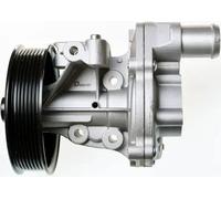DENCKERMANN A310925P Pompa dell’acqua, raffreddamento motore per FORD,LAND ROVER