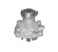 DOLZ A330ST Pompa acqua