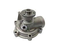 Pompa acqua adatta per Deutz 1012 2012 BF4L1012 BF6M1012 BF4M1012 BFM2012