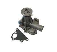 Pompa acqua adatta per Perkins 100 400 104-22, 403C-15, 403C-17, HR 404C-22t