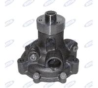 POMPA ACQUA ADATTABILE RIF. 99454833