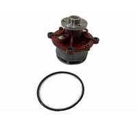 Pompa Acqua Adatto A Deutz TCD2013 TCD2012 BF4M2012 BF6M2012 BF6M1013 BF4M1013