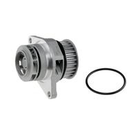 NTY CPW-AU-031 Pompa acqua