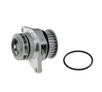 NTY CPW-AU-031 Pompa acqua