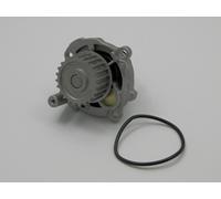 NTY Pompa acqua CPW-VW-028 – Adatta a VW Golf IV 1.6, Polo 1.6, Passat 1.6, Fiat 500