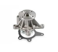 Blue Print Pompa acqua ADG09181 per Hyundai, Kia, Dodge – raffreddamento motore