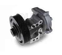 Pompa acqua ADJ139107 BLUE PRINT per FORD LAND ROVER