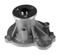Blue Print Pompa acqua ADN19181 per Nissan Micra III, Micra C+C, Note