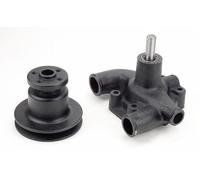 Pompa Acqua Ama per Massey Ferguson 41312784
