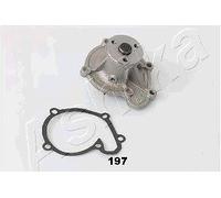 Ashika Ashika 35-01-197