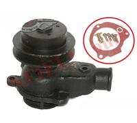 Pompa Acqua Assey Per Willys MB Ford Gpw CJ2A 3A 3B CJ5 4 Cilindro 41-71 Aes