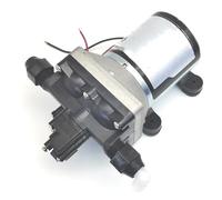 Pompa Acqua Auto Pompa A Pressione Per Acqua Dolce 4008-101-A65 12V/24V DC 3,0 GPM Con Filtro Integrato Per WC Marino E Sistema Sanitario Per Camper Pompe acqua