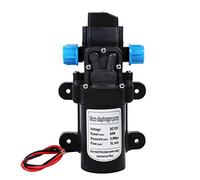 Pompa Acqua Autoadescante ad Alta Pressione, DC 12V Pompa dell' Acqua Automatico per Camper, Barche, Roulotte e Il Giardino, Pompa dell'Acqua per Lavaggio (60W 5L/min)