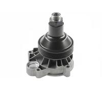 Pompa acqua Automatico B220 DOLZ per BMW 3 Touring
