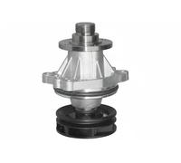 Pompa acqua B214 DOLZ per BMW WIESMANN