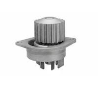 DOLZ C113 Pompa acqua