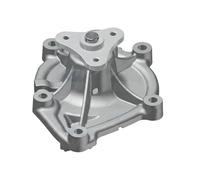 DOLZ C136 Pompa acqua
