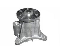 DOLZ C139 Pompa acqua