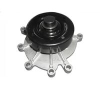 DOLZ C146 Pompa acqua