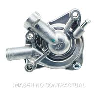 Pompa Acqua Completa HERT Honda Sh 125-pcx 125 per Moto Ricambi Accessori