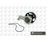 Pompa acqua CP2506 BGA per HONDA HR-V JAZZ IV