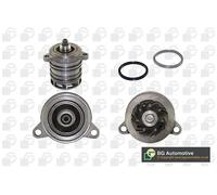 Pompa acqua CP3506 BGA