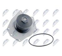 Pompa acqua CPW-CH-005 NTY per CHRYSLER 300M CONCORDE PACIFICA