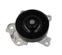 Pompa dell'acqua THERMOTEC D12096TT