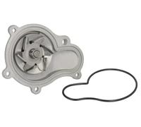 Thermotec Pompa dell'acqua D1Y001TT per Chrysler, Dodge, Plymouth, Jeep