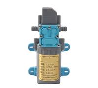 Pompa 'acqua del motore dello zaino di riflusso ad alta pressione ad alta potenza 12v della pompa 'acqua ad alta pressione dello spruzzo elettrico agricolo(SKY BLUE)