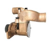 Pompa 'Acqua di Mare di Raffreddamento del Motore Marino Compatibile con i Modelli 119773-42501 119773-42500 119773-42650 119773-42502 e 6LP (A) -DTE 10-24493-02