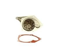 Pompa Acqua di Raffreddamento per Nissan Qashqai + 2 I 1.5 DCI Note Duster Dacia
