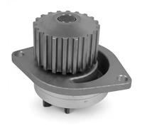 Dayco Pompa acqua DP024 per Peugeot 106/206/306, Citroën AX/Xsara, Nissan, Rover