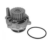 DAYCO DP029 Pompa acqua