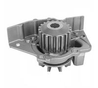 DAYCO DP031 Pompa acqua