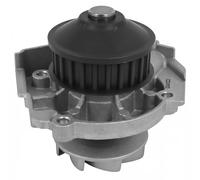 DAYCO POMPA ACQUA