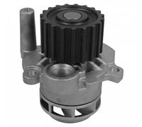 DAYCO DP051 Pompa acqua
