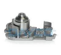 DAYCO DP060 Pompa acqua