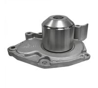 DAYCO Pompa acqua