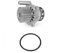DAYCO Pompa acqua DP163